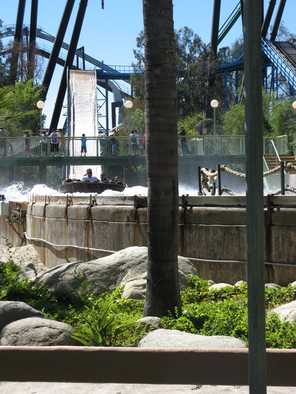 img_0490.jpg