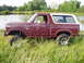 1980 Ford Bronco photo