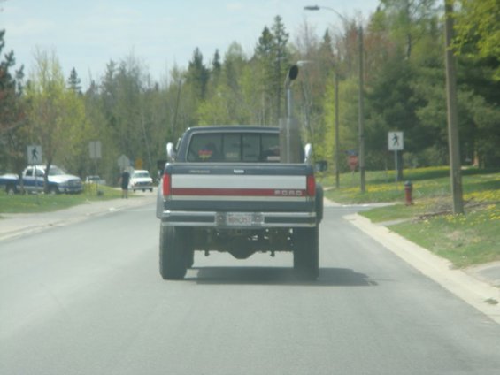 Dark blue Ford pickup truck with red and white stripe on tailgate, seen from rear