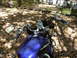 2004 Honda Shadow Sabre VT 1100 photo