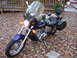 2004 Honda Shadow Sabre VT 1100 photo