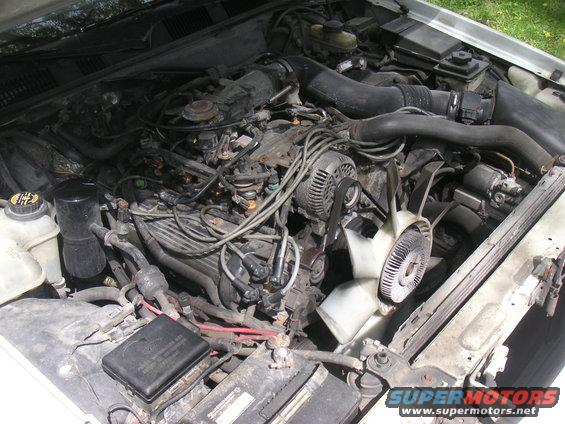 1997 Ford Crown Victoria engine bay with visible V8 engine, fan, and radiator. White exterior