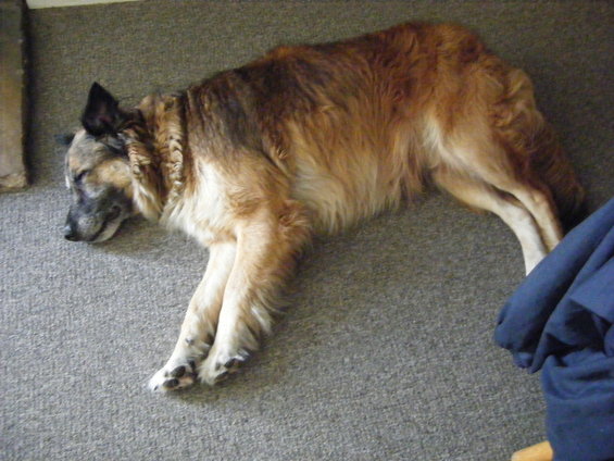 dscf6171.jpg The day has ended.. can you tell.. we still had the Barb-que too. Great time.