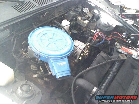 New alternator, belt, Taylor plug wires, NGK plugs, Holley pressure regulator, summit fuel pressure guage.