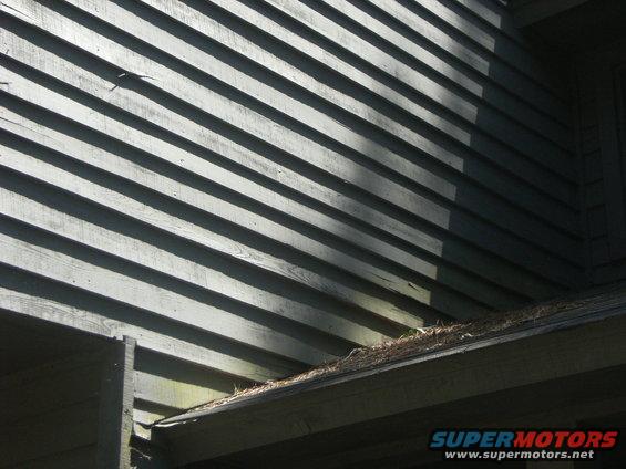 Exterior of a building showing horizontal siding and a gutter filled with debris