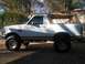 1996 Ford Bronco - This 1996 Ford Bronco features a removable soft top, revealing a tan interior and a canine passenger.
