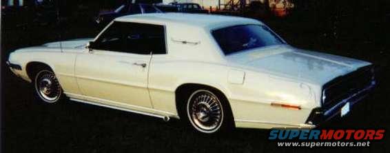 bird_exterior_back.jpg Rear view