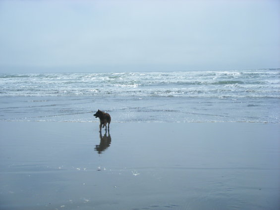 dscf6236.jpg 
