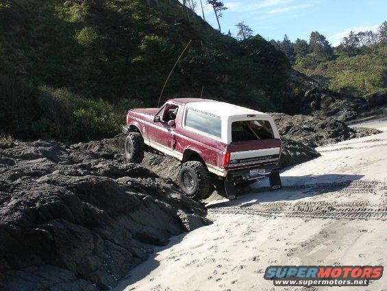 careysbronc3.jpg 
