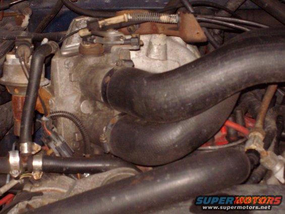 engine hoses and intake manifold