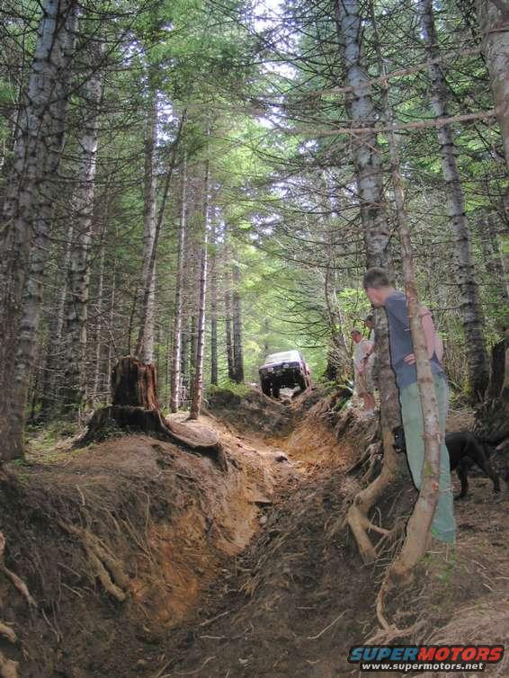 100_0046.jpg here he comes....