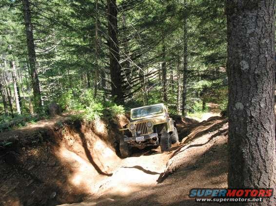 101_0111.jpg hip - can opener