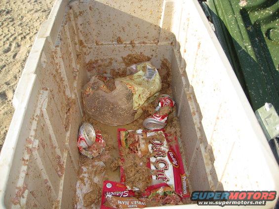 Open cooler filled with food scraps, crushed cans, and packaging. A green object is visible to the right