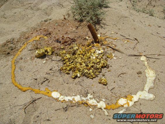 Animal scat and yellow and white foam on sandy ground with sparse vegetation