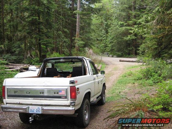 cabindriveway2.jpg