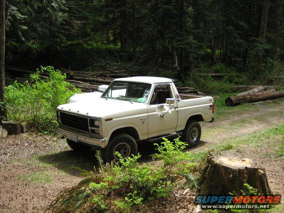 cabindriveway3.jpg