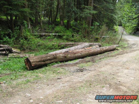 logsfinished.jpg