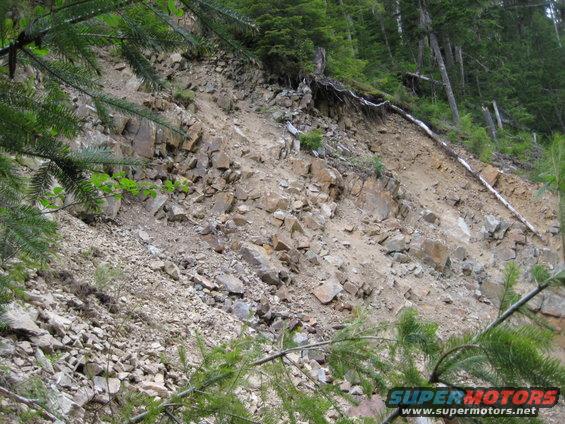 rockslide with trees and foliage