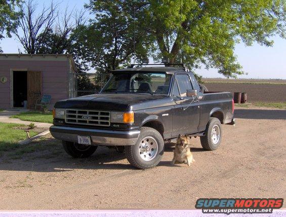 Black Ford F-150 pickup truck parked outside a shed with a dog sitting in front of the tire
