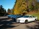 1996 Chevrolet Impala - A fleet of sedans, including a white one with a push bar, are parked in a lot on a sunny day.
