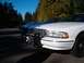 1996 Chevrolet Impala - A line of white Chevrolet Caprice sedans are parked in a lot with trees in the background.