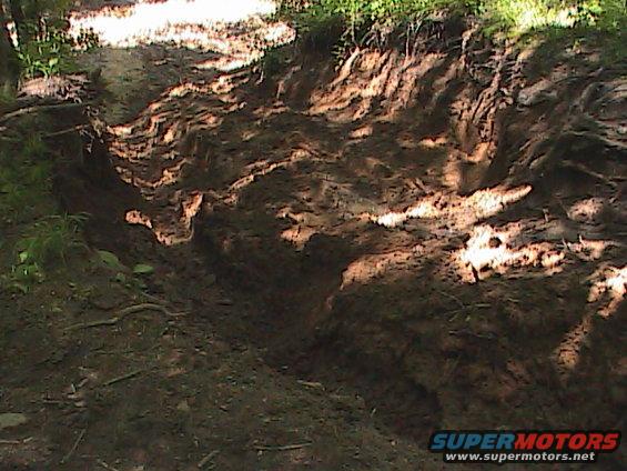 Muddy track with tire ruts in a wooded area