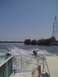05-31-08_1119.jpg