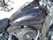 2005 Harley-Davidson Softail