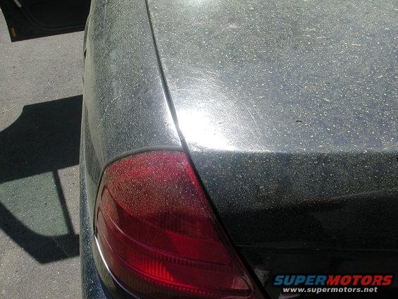 Dusty black 1999 Ford Crown Victoria rear quarter panel and taillight