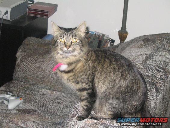 img_1508.jpg sydney1