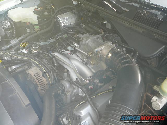 new-intake-2.jpg Engine bay as of June 7th, 2008