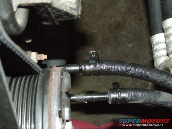 This is the top cooler hose I removed to drain
the tranny fluid.