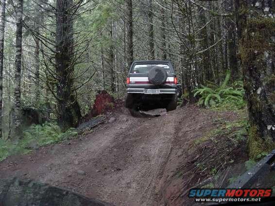Our new buddy Chris navigating through the tight trees (3 pics)