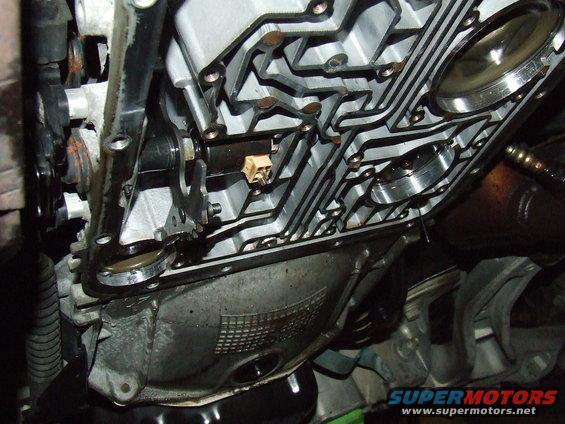 Bottom of tranny.
