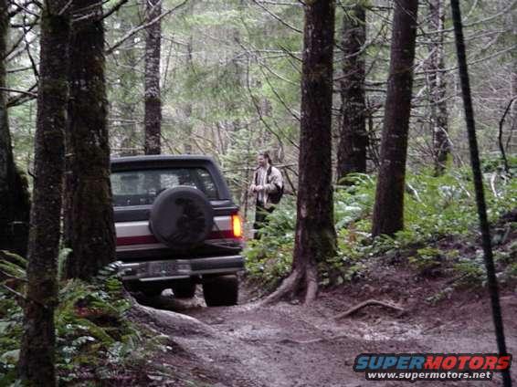 Dark SUV with spare tire on rear door, red stripe on tailgate, driving on dirt path in forest