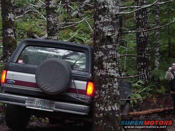 Rear of dark SUV with spare tire, license plate XPY 824, in a forest setting