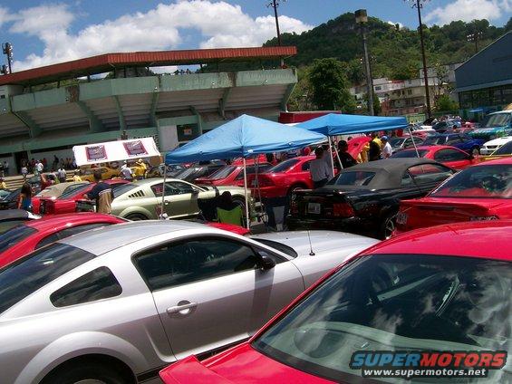 Lots of Mustangs parked under tents at an outdoor car show