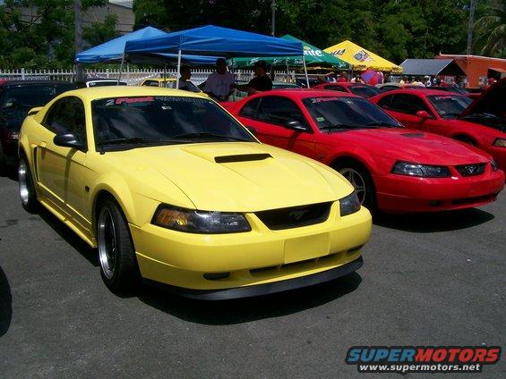Yellow 2001 Ford Mustang parked next to red Ford Mustangs at an outdoor car show
