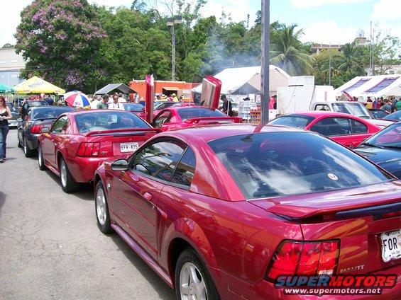 Line of red Ford Mustangs, one with butterfly doors open, at an outdoor event. License plate reads 'FFR 435'