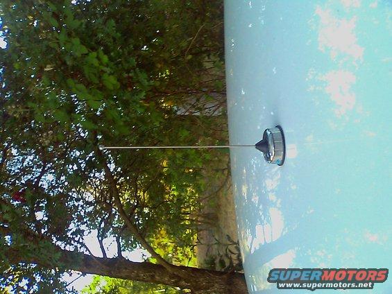 Light blue car side with antenna and trees in background