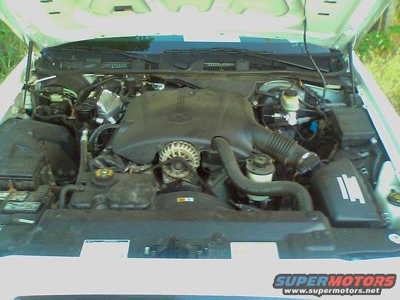2000 Ford Crown Victoria engine bay with V8 engine components visible