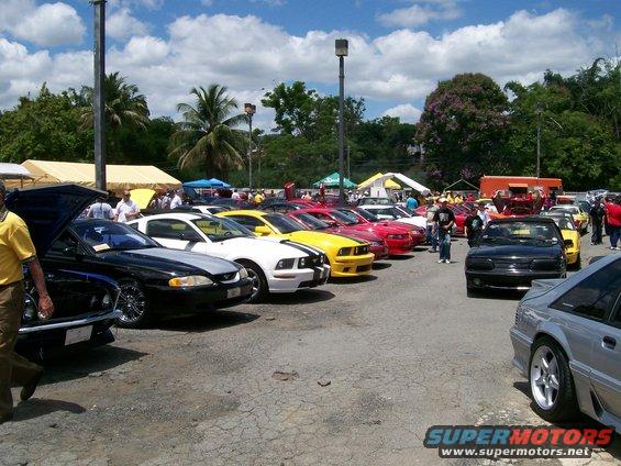 Line of Ford Mustangs, including a black SN95 model with hood up and a silver Fox body, parked outdoors under a cloudy sky