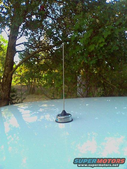 Car antenna on a white car roof, with trees in the background