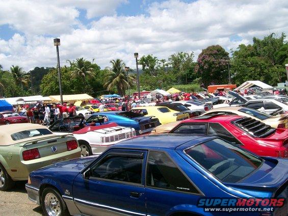 2001 Ford Mustang and other cars at a show