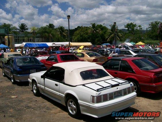 White convertible Mustang parked at an outdoor car show with other Mustangs in the background
