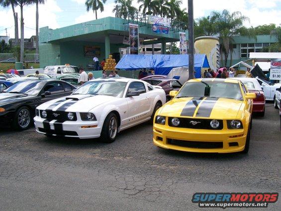 Yellow Ford Mustang with black stripes parked in front of a white Ford Mustang with black stripes