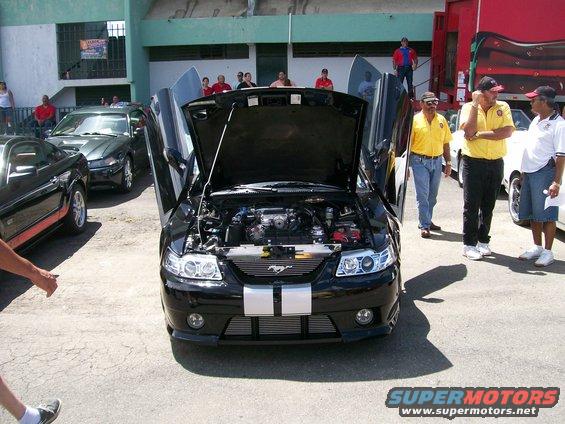Black 2001 Ford Mustang with gullwing doors open, racing stripes on hood, and engine visible