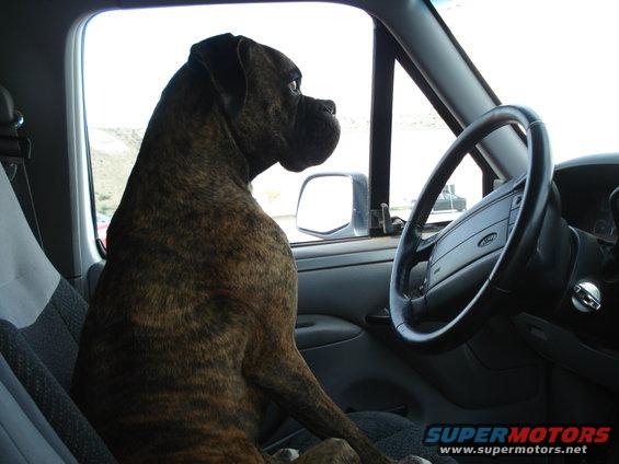 dsc01205.jpg Otto driving 