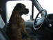 1995 Ford Bronco photo