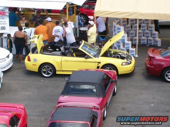 Yellow 2001 Ford Mustang convertible with hood and trunk open